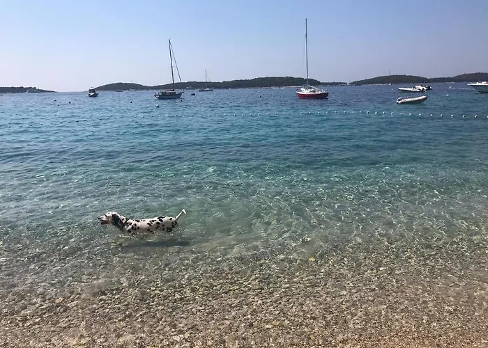 Apartament Marinka Viskovic