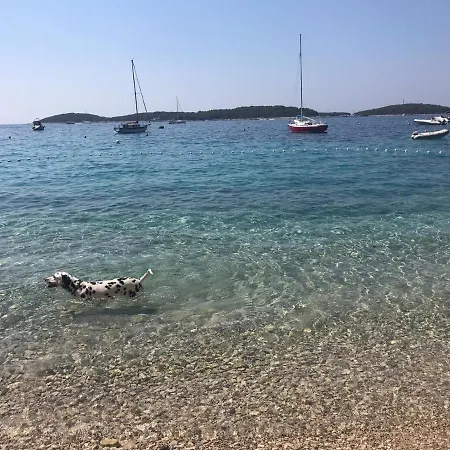 Apartman Marinka Viskovic